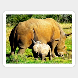 African Wildlife Photography Rhinoceros Mother and Calf Sticker